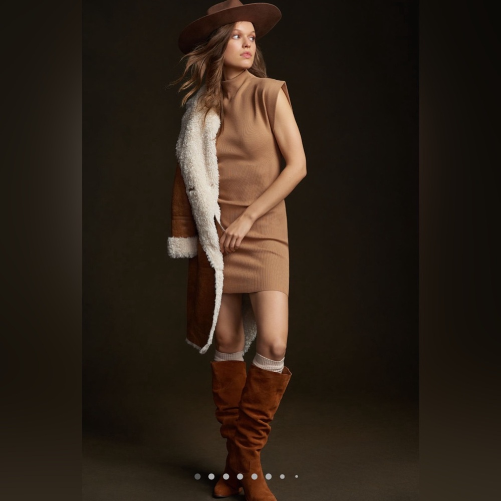 NWT Anthropologie mock neck dress
